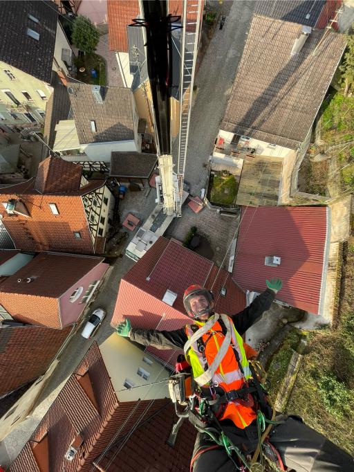 Galeriebild Baumkletterer