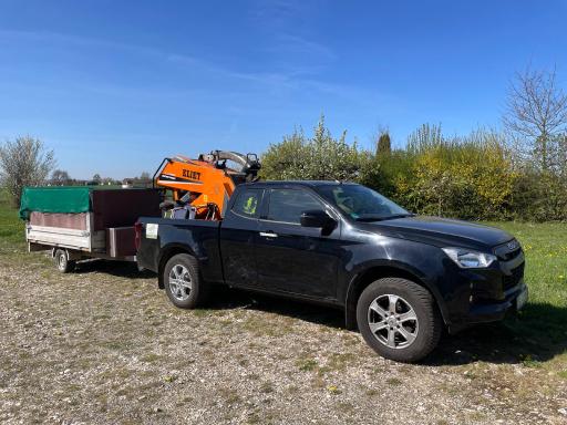 Galeriebild Baumkletterer